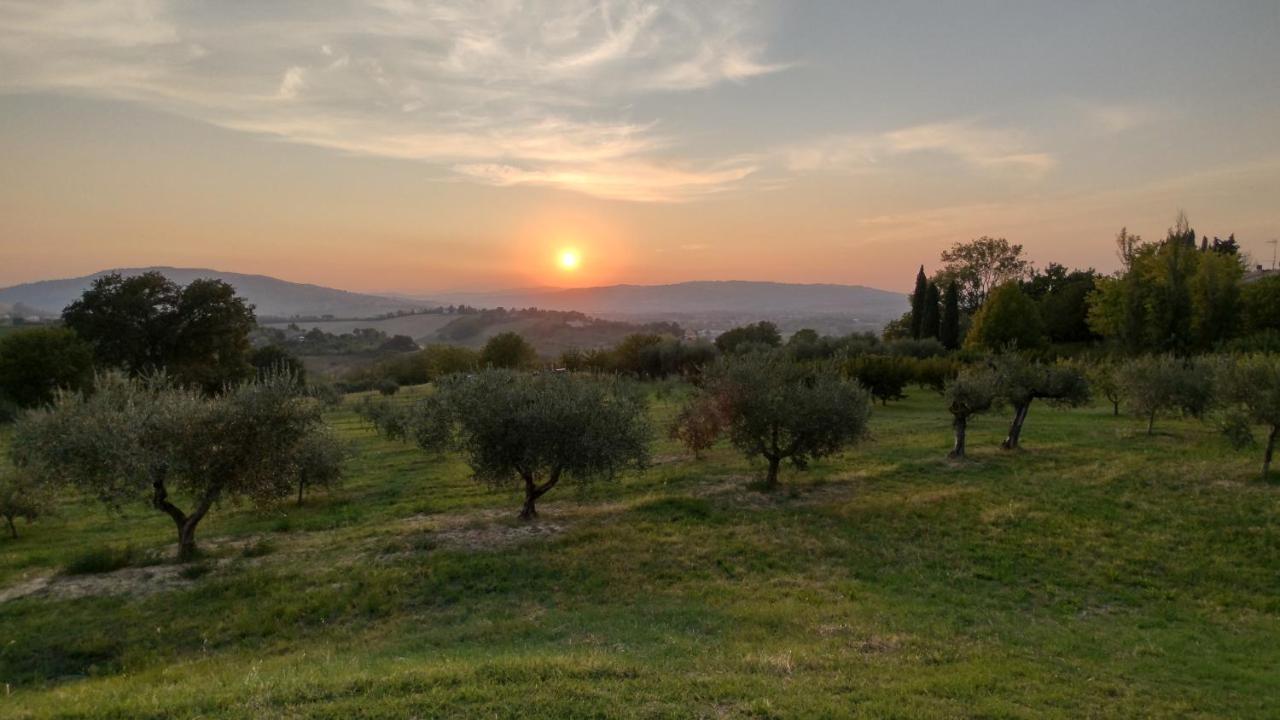 La Maggiolina Country House Montelabbate Kültér fotó